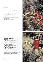 Ecf 2004 Nr 3_Seite_63