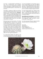 HP Echinocereus Online 2013 01_Seite_17