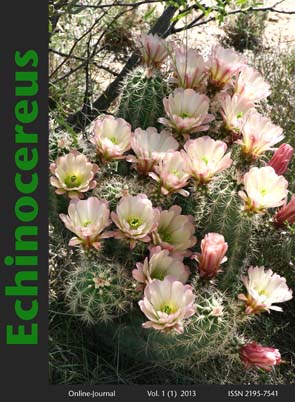 HP Echinocereus Online 2013 01_Seite_01