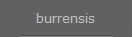 burrensis